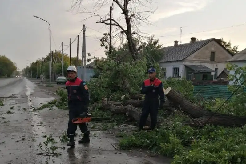 Қарағандыдағы дауыл: Ауруханаларда жарық өшіп, шатырлар көкке ұшты