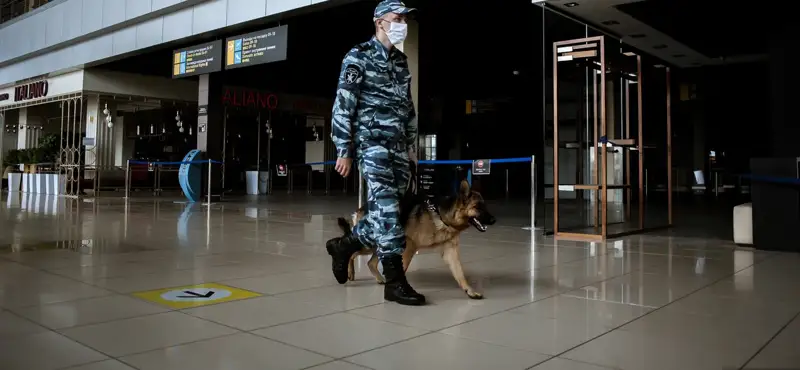 Birikken Arab Ámirlikteri COVID-19 juqtyrǵandardy anyqtaý úshin ıtterdi paıdalana bastady