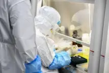 БҚО-да коронавирус анықталған 11 науқастың жетеуі – Түркістан облысының тұрғындары