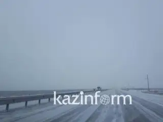 СҚО-да полицейлер адасып кеткен ресейлік жүргізушіні құтқарды