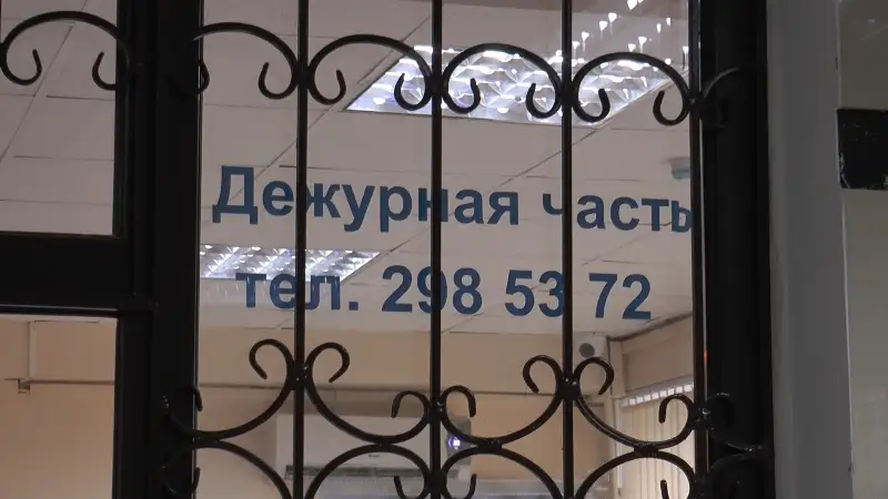 мошенница 
