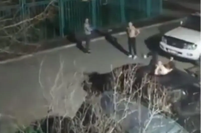 Elordada ishimdikke elirgen jastar kólikterdiń tóbesinde oıran salǵan
