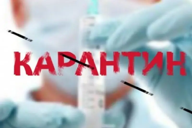 ShQO-daǵy eki mektepte karantın jarııalandy