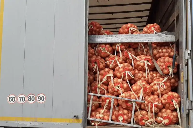 Maqtaaralǵa Almaty oblysynan 260 tonnalyq gýmanıtarlyq kómek kelip jetti