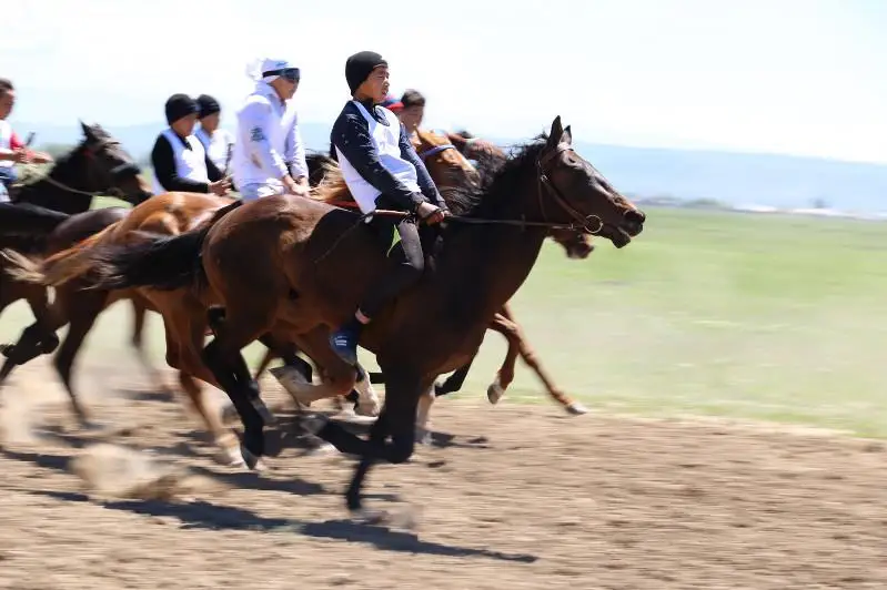 ShQO-da Abaıdyń 175 jyldyǵyna oraı ulttyq at sportynan festıval ótedi