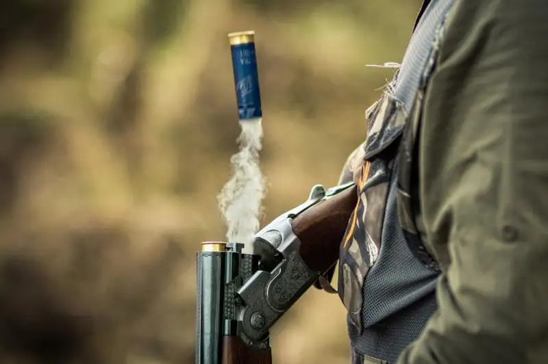 Brakoner týraly zań jobasy osy aıda Parlamentke engiziledi