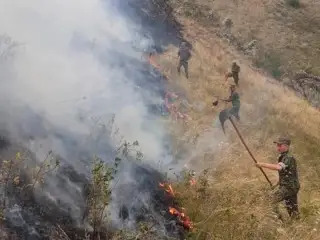 Almaty oblysy 4 kúnnen beri dala órtimen arpalysyp jatyr