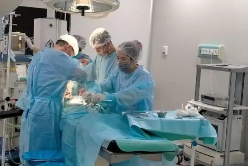 Shymkentte dárigerler úsh aılyq náresteniń tynys jolynan túıreýishti alyp shyqty
