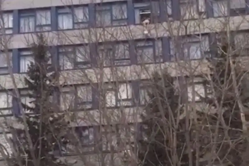 Aqmola oblysynda stýdent altynshy qabattan sekirip ketti