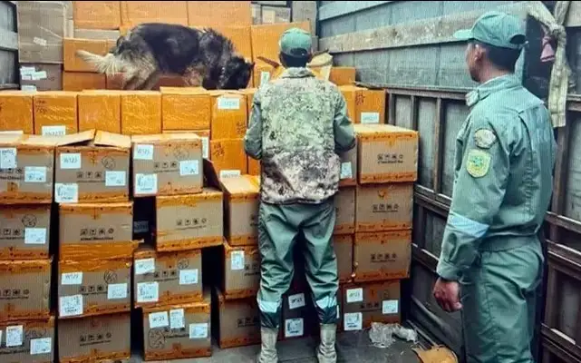 Фото: ҚР ҰҚК Шекара қызметі