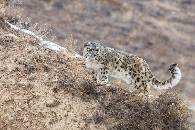 Қысқа қыздар порно «Украина» телехикаясындағы Вераның порно видеосы