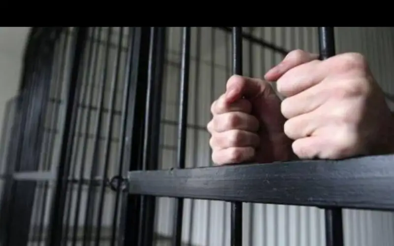 лжетерроризм