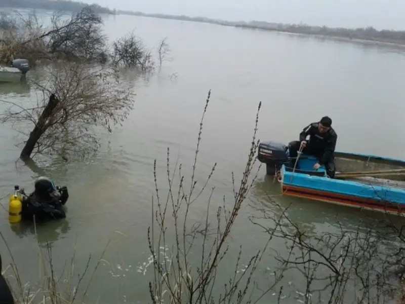 Сырдарияда 