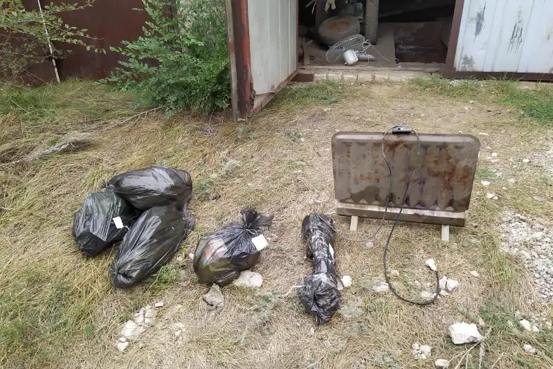 Oral turǵyny jertólesinde esirtki ósirgen