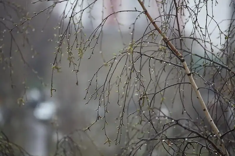 Elimizdiń jeti óńirinde kún buzylady
