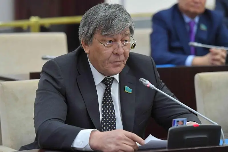 Контрафакт пен контрабанда мемлекеттік қолдау шараларына залал келтіруде - сенатор