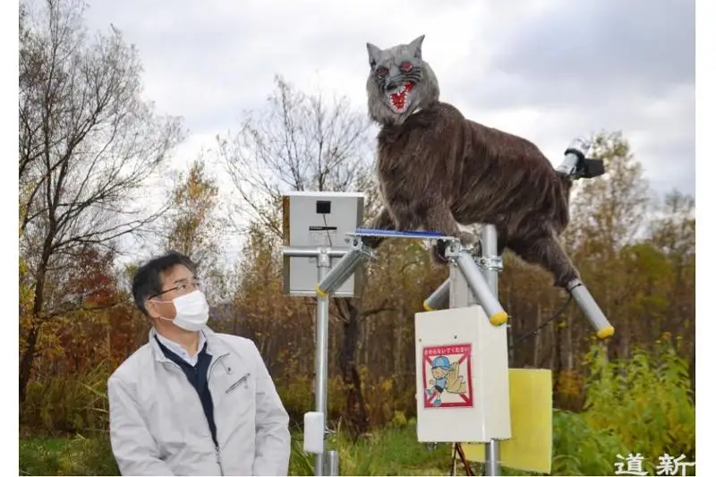Japonııada qurastyrylǵan robot-qasqyr ańdardy úrkitip jatyr
