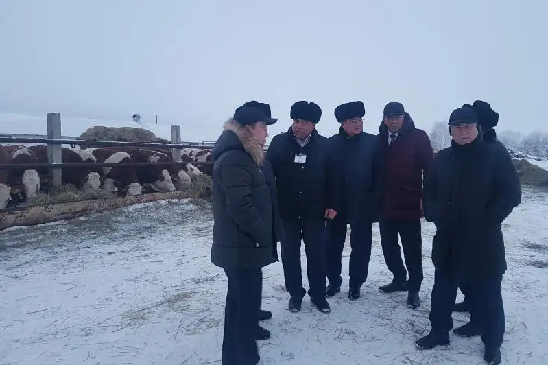Qostanaıda senatorlar mal sharýashylyǵyn sýbsıdııalaý máselelerin talqylady