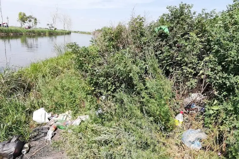 Altaı Kólginov qala turǵyndaryn ekologııalyq aktsııaǵa shaqyrdy