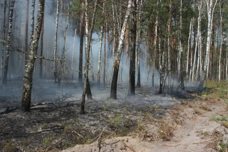 Chernobyl AES-niń aımaǵyndaǵy orman órti sóndirildi