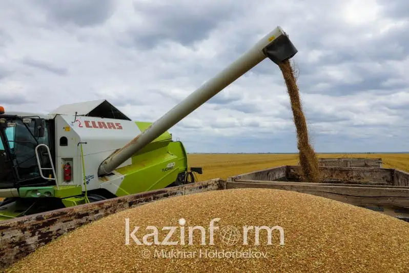 Қазақстанда астық экспортының әлеуеті қандай