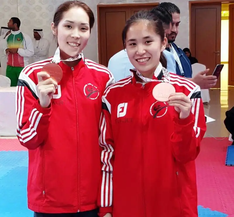 taekvondoshylar 