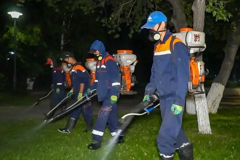 Nur-Sultanda dezınsektsııa jumystarynyń tórtinshi kezeńi bastaldy