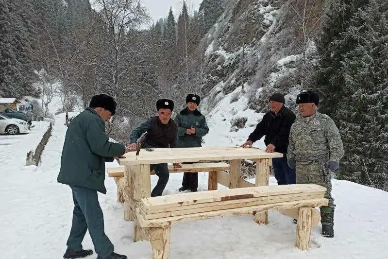 Býtakov shatqalyndaǵy ormandy qalpyna keltirý 2021 jyly bastalady