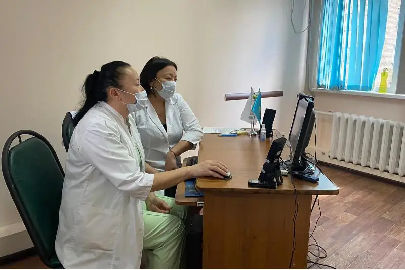 «Ауыл» партиясы өңір дәрігерлеріне COVID-19 науқастарын емдеу туралы семинар өткізді