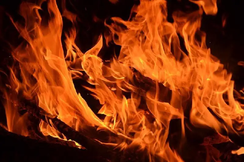 Petropavldaǵy órt er adam men eki balanyń ómirin jalmady