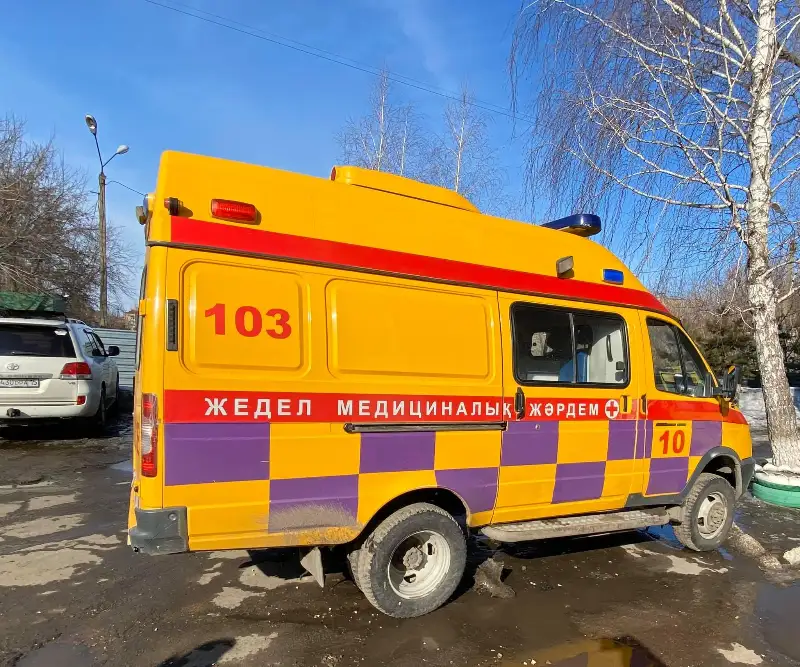 Petropavldyq restoratorlar dárigerlerdi tegin túski aspen qamtamasyz etip jatyr