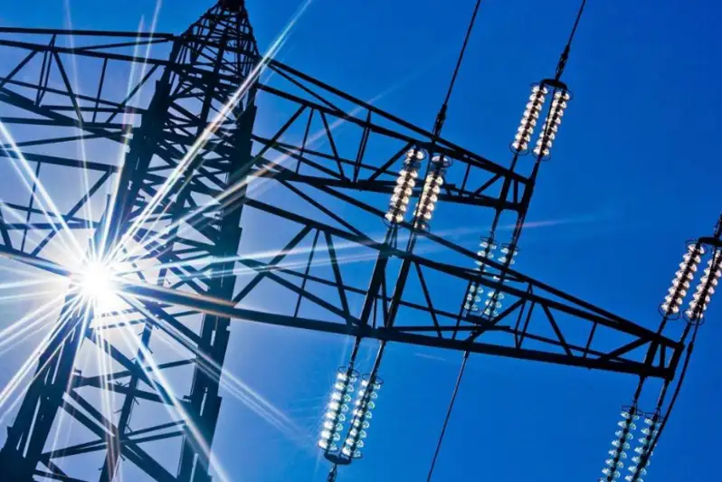 Atyraýda elektr energııasyn óndirýge qamys paıdalanylady