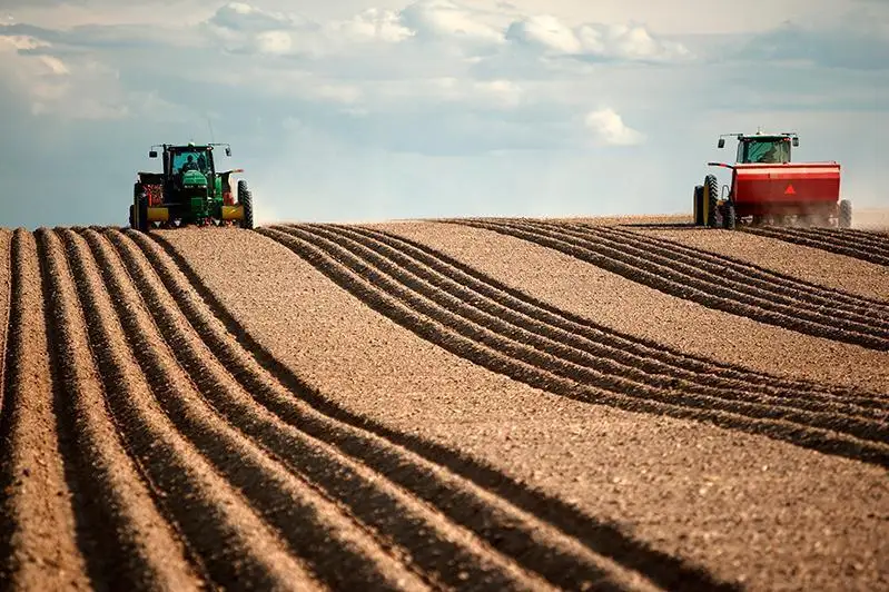 Pandemııaǵa qaramastan Qazaqstanda egis alqaptarynyń kólemi artty