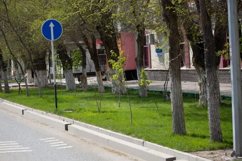 Bıyl Atyraý kóshelerine 5 myńnan astam jas kóshet otyrǵyzylady