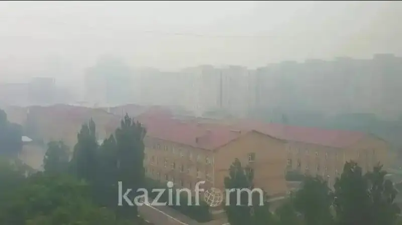Ekologııa