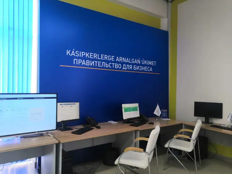 Qazaqstanda «Bızneske arnalǵan úkimettiń» 200 ofısi ashylady