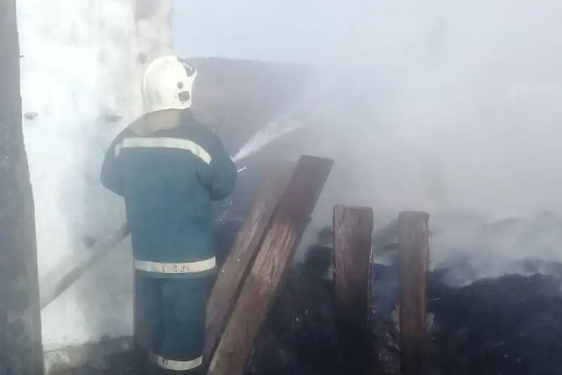 ШҚО-да сіріңкемен ойнаған бала 12 тонна пішенді өртеп жіберді