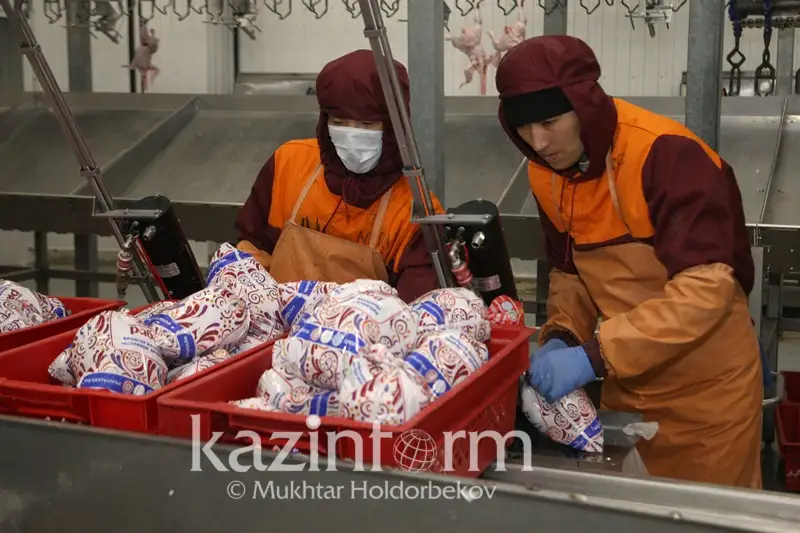 «Жұмыспен қамту» жол картасы: Еңбек министрі аралық нәтижелерді баяндады