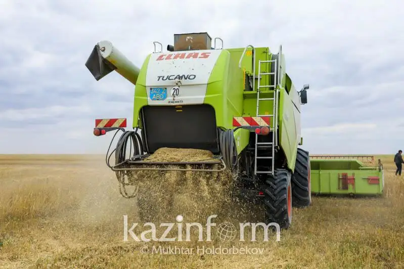 Қазақстан агроөнеркәсіптік кешен өнімдерінің экспортын арттырды