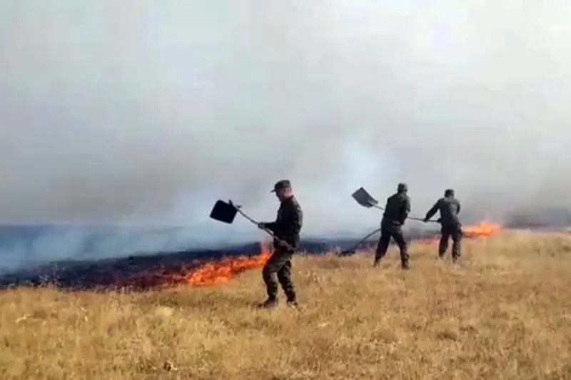 Жамбыл облысында дала өрті кезінде 50 гектардағы сексеуіл жанып кетті