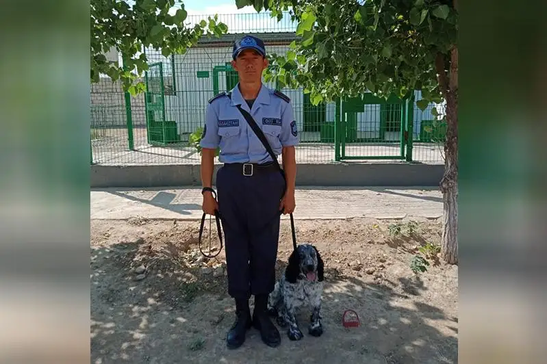 Iisshil ıt sómkesine esirtki salyp alǵan turǵyndy ustady