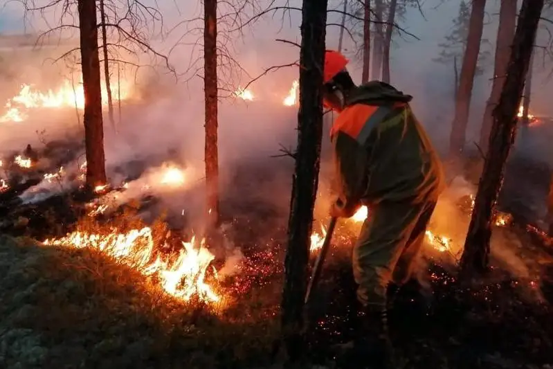 Reseıde 13 myń gektar aýmaqta orman órtenip jatyr