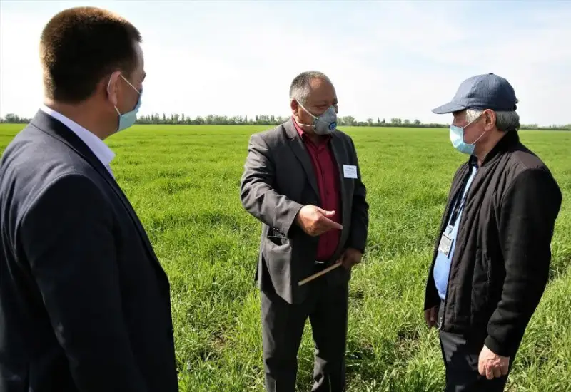 Berdibek Saparbaev: Aýylda jumys isteýge umtylý kerek