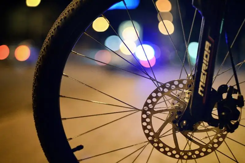 Almaty oblysynda 4 jasar bala velosıped teýip júrip, joǵalyp ketken