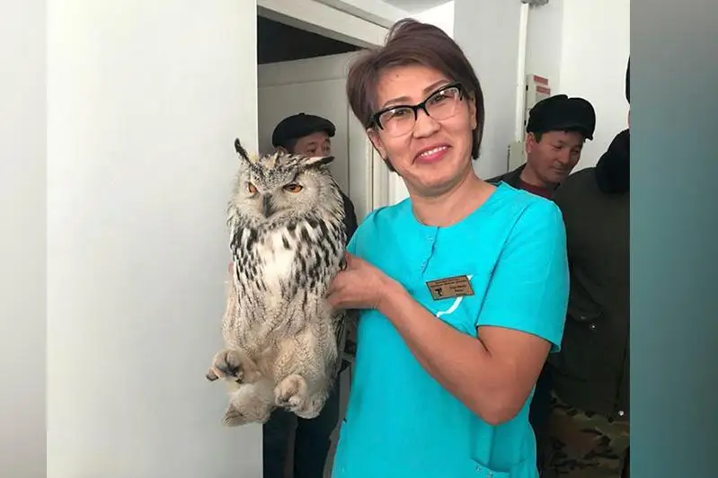 Qyzylordalyq sanıtar Qyzyl kitapqa engizilgen úkini qutqardy
