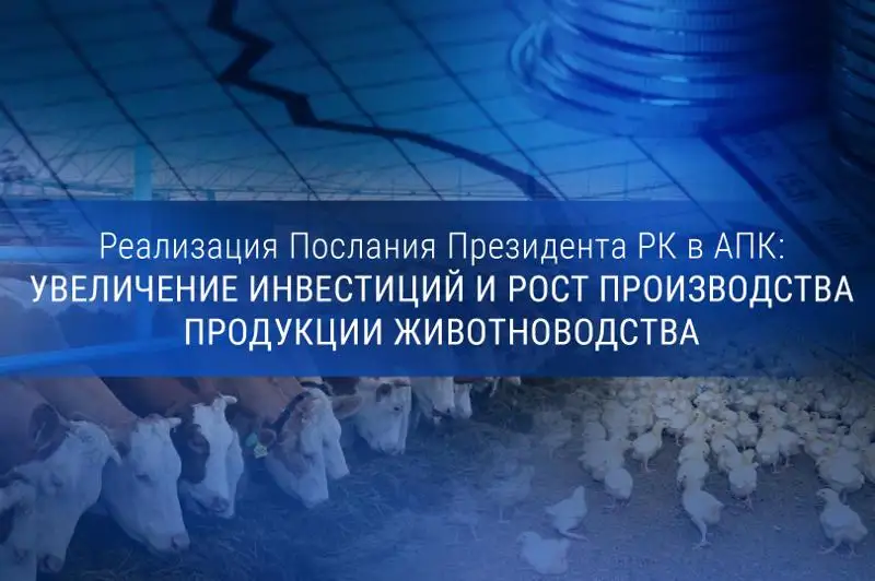 Реализация Послания Президента РК в АПК: увеличение инвестиций и рост производства продукции животноводства