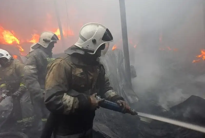 Крупный пожар произошел в Алматинской области