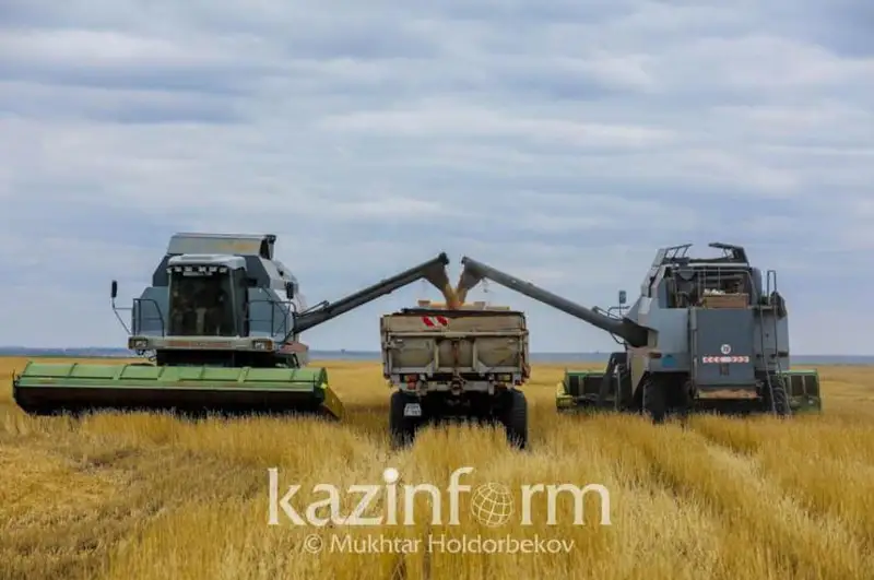 Айдарбек Ходжаназаров назвал основные проблемы казахстанских фермеров