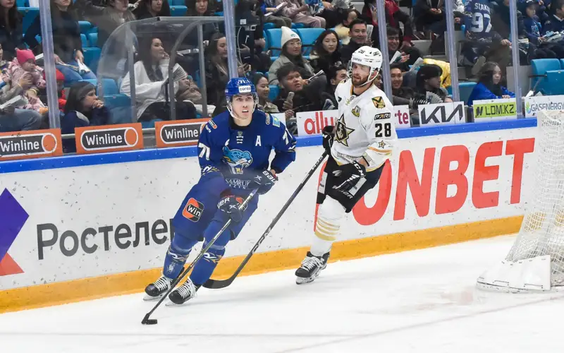 barys hokkeı