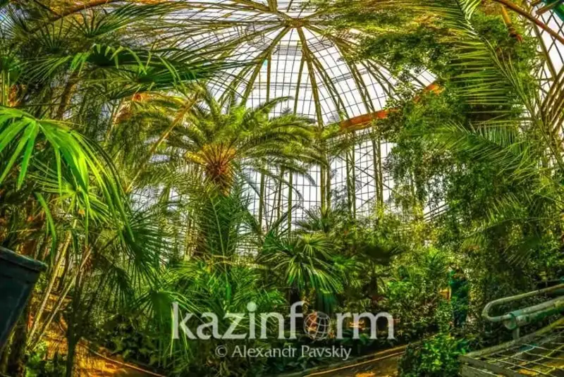 Входной билет в Ботанический сад Алматы подешевеет